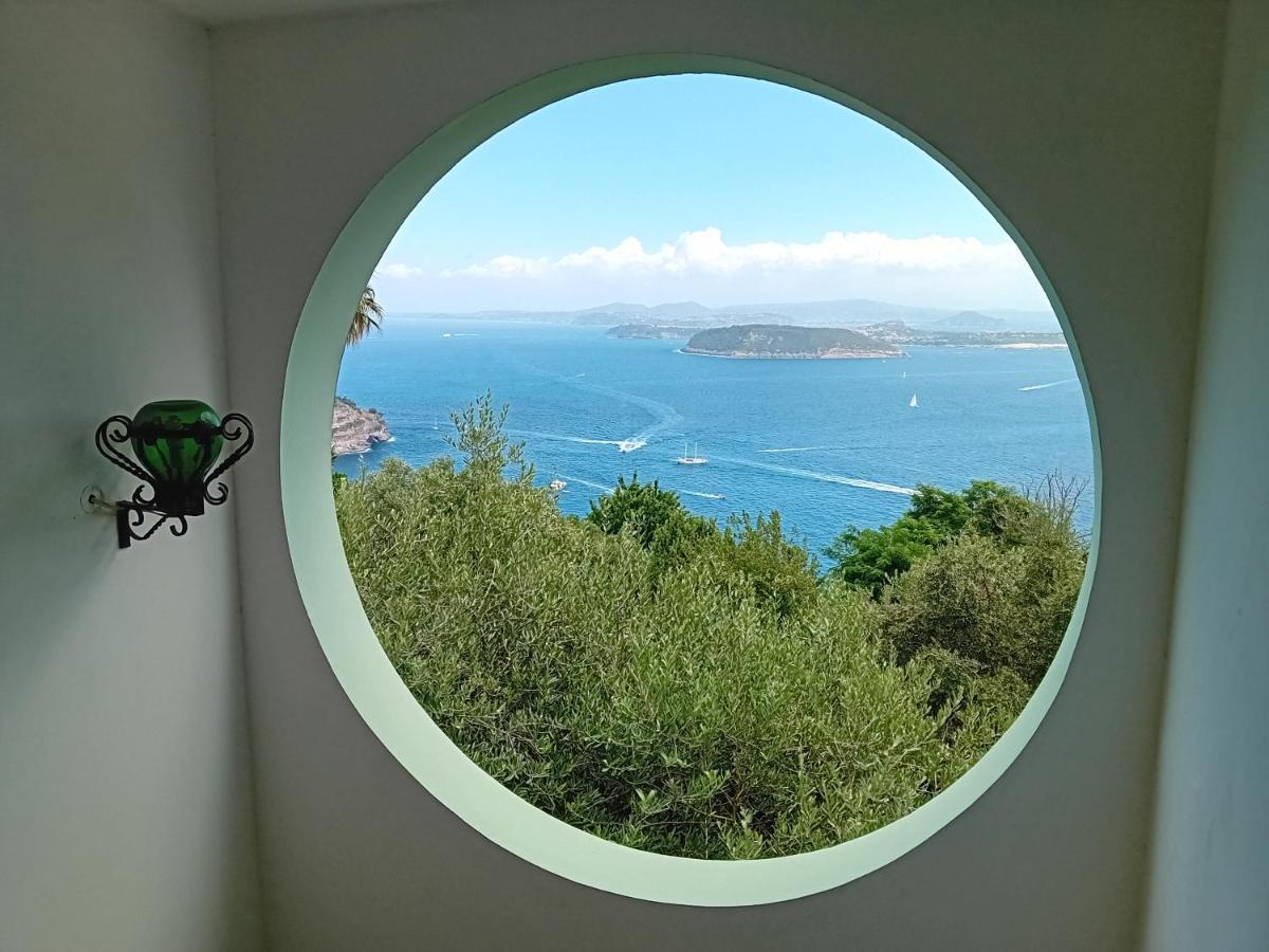 Frühstückspension La Pergola Del Torchio Ischia